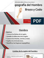 Seminario N3 Topografía Del Hombro, Brazo y Codo ARTI I