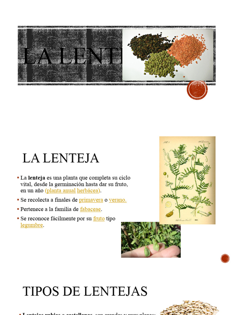 Lenteja | PDF