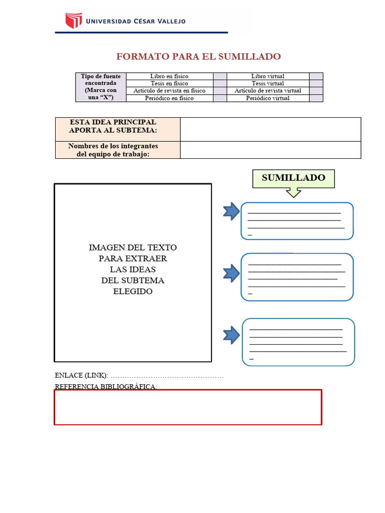 Formato de Sumillado Efectivo | PDF