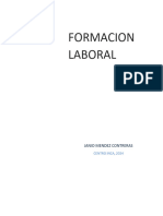 Formacion Laboral Janio Mendez 205 (1)