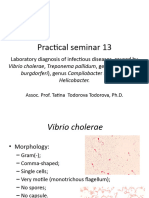 Practical Seminar1.13