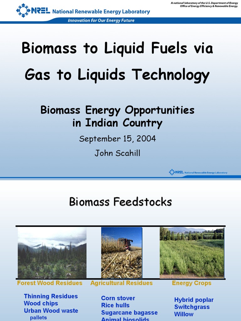 Biomass to Liquid Fuels Technology Guide | PDF | Gasification | Biomass