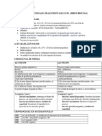 Derecho Procesal Penal - 1er Corte. DL