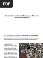 Consecuencias Del Desarrollo Humano Que Afectan A La