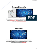 La Neurona y El Potencial de Acción Parte 2