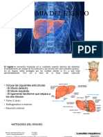 2DO PARCIAL ABDOMEN