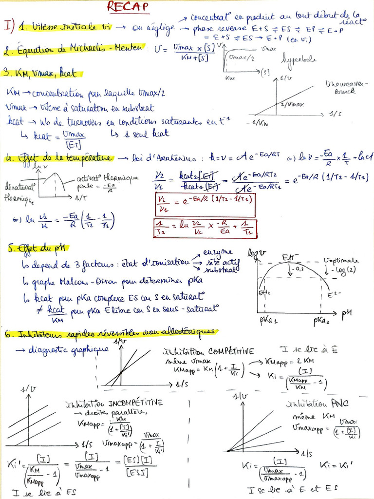 Document 18 | PDF