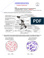 Informe # 2_Microscopia y observación de Celulas Procariotas