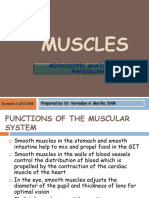 Topic 6. Muscular System Anatomy and Physiology 1