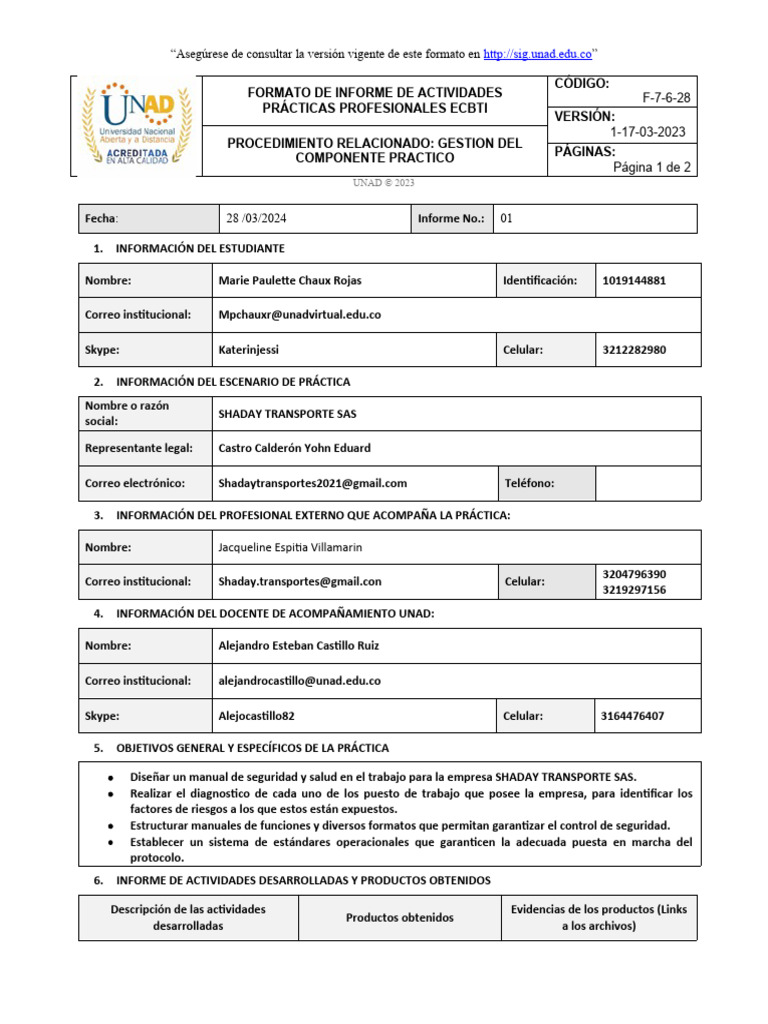 Formato de Avance | PDF | Informática