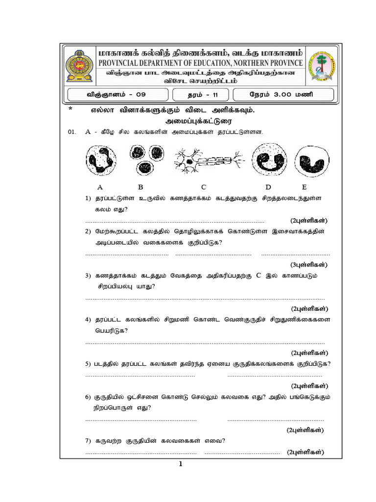 Grade 11 science pde 10 1 pdf freedom party of austria