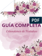 Gu A Completa Extensiones de Pesta As