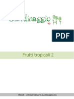 Frutti Tropicali 2