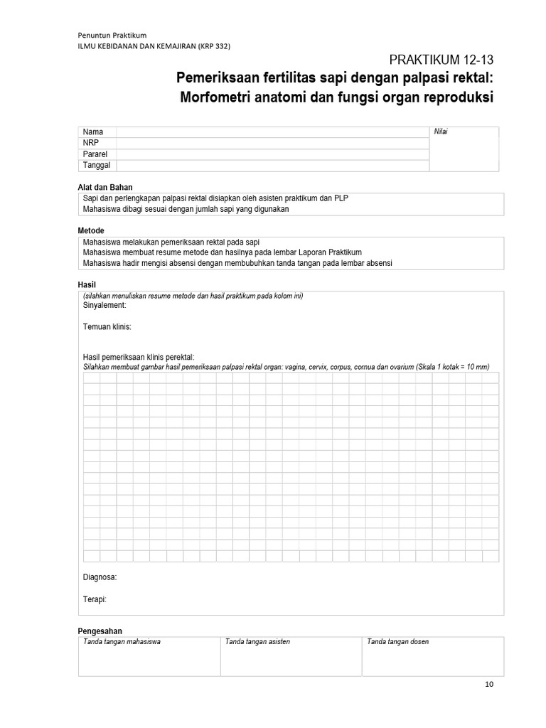 Palpasi Rektal untuk Fertilitas Sapi | PDF