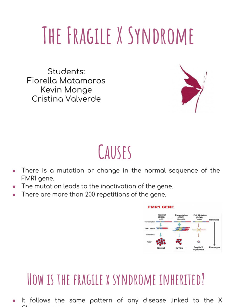 The Fragile X Syndrome | Download Free PDF | Clinical Medicine ...