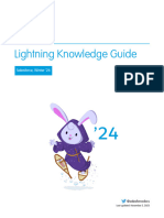 Lightning Knowledge Guide