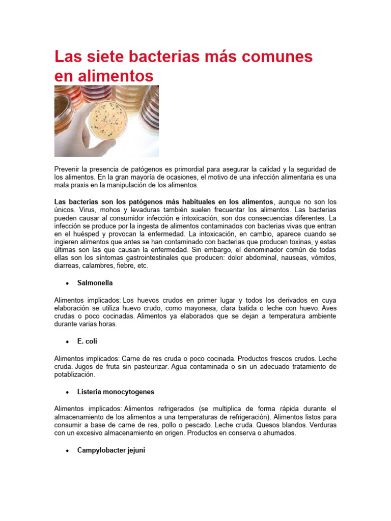 Siete bacterias comunes en alimentos | PDF | Alimentos | Leche