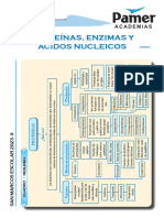 BIO_Sem2_Proteínas, Enzimas y Ácidos Nucleicos