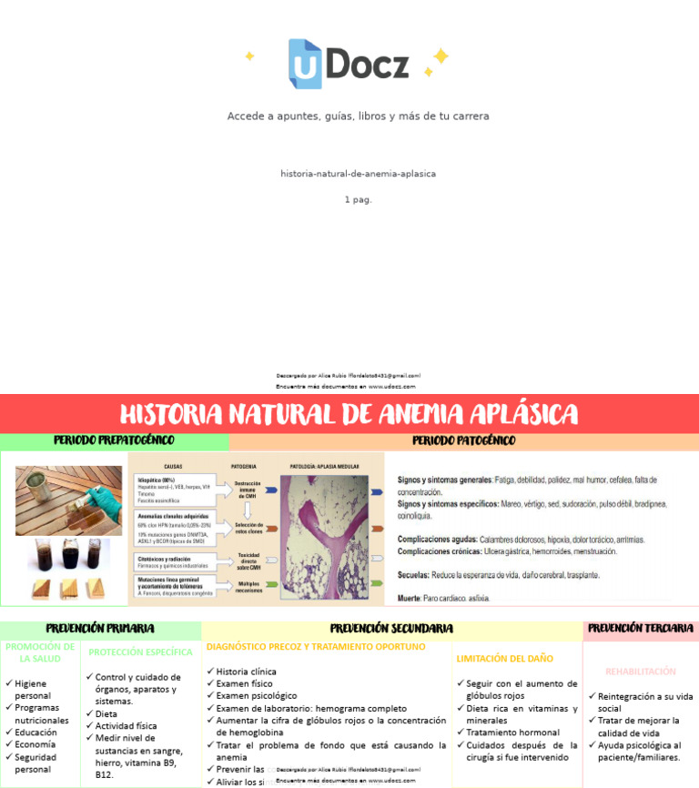 historia-natural-de-anemia-aplasica-322108-downloable-879502-pdf