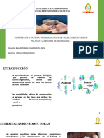 Estrategias y Tacticas Reproductiva de Peces Con Enfasis en Peces de Consumo de Agua Dulce - Alfonso Hidalgo Silvano PDF