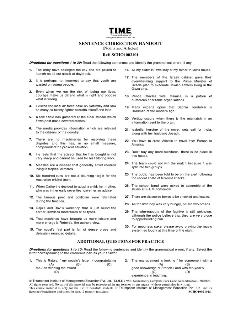 Sentence Correction Guide: Nouns & Articles | PDF