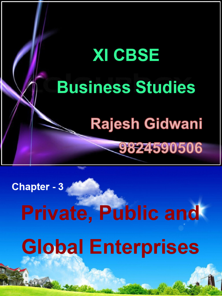 Chapter 3 BST Private, Public.. Rajesh Sir | PDF | State Owned ...