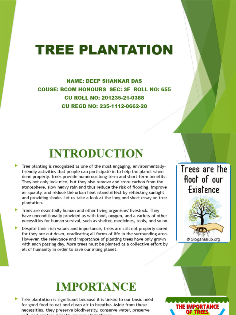 Importance of Tree Plantation | PDF | Trees | Biodiversity