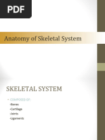 Anatomy of The Skeletal System