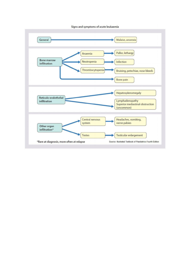 Signs and Symptoms of Leukemia | PDF - Leukemia And Lymphoma Symptoms