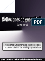 Reflexiones de Gnoseología (Introspección, Notas & Ensayos) 25-02-2024