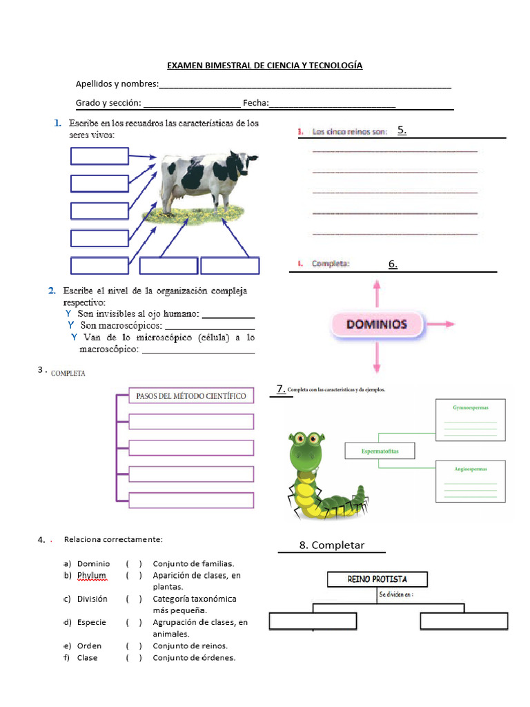 EXAMEN BIMESTRAL DE CIENCIA Y TECNOLOGÍA 5t0 | PDF