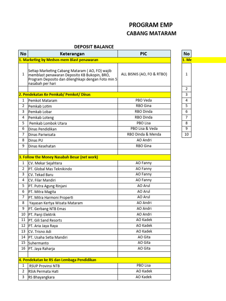 Action Plan Solisit Ricky Februari Pdf