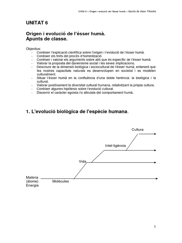 Unitat - 6 - Apunts Classe - Curs 21 - 22 - Origen I Evolucio Esser ...