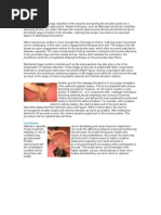 Download Frozen Shoulder Massage by rheuuuu SN73464856 doc pdf