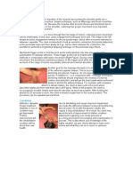 Download Frozen Shoulder Massage by rheuuuu SN73464856 doc pdf