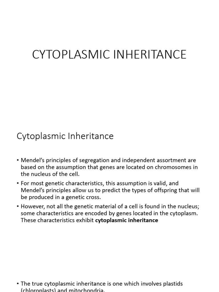 Understanding Cytoplasmic Inheritance | PDF | Mitochondrion | Genetic Code