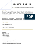White Gold Elegant Minimalist Data Analyst Resume CV A4 Printable (1)