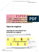 ¿Qué Tipos de Vaginas Existen Según La Forma de La Vulva - Fresa y Chili