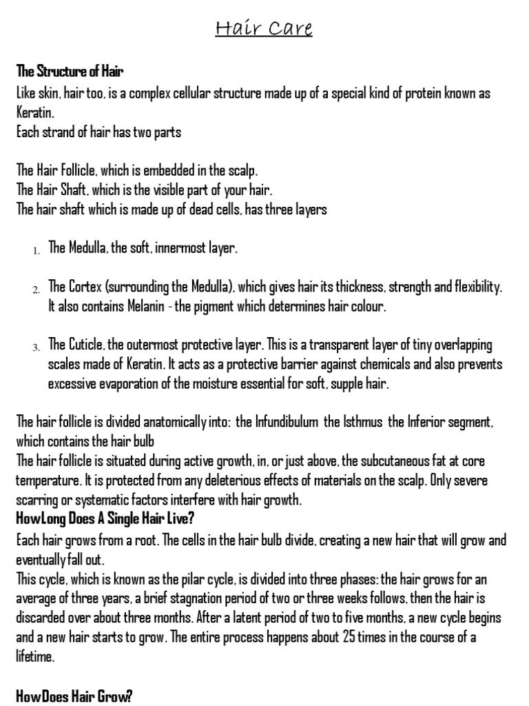 Hair Care PDF Shampoo Integumentary System