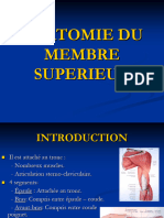 Cours Membre Supérieur