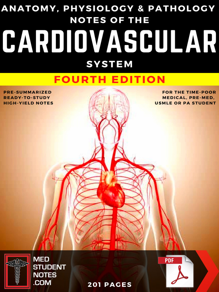 High-Yield Cardiovascular Study Notes | PDF | Heart Valve | Diastole
