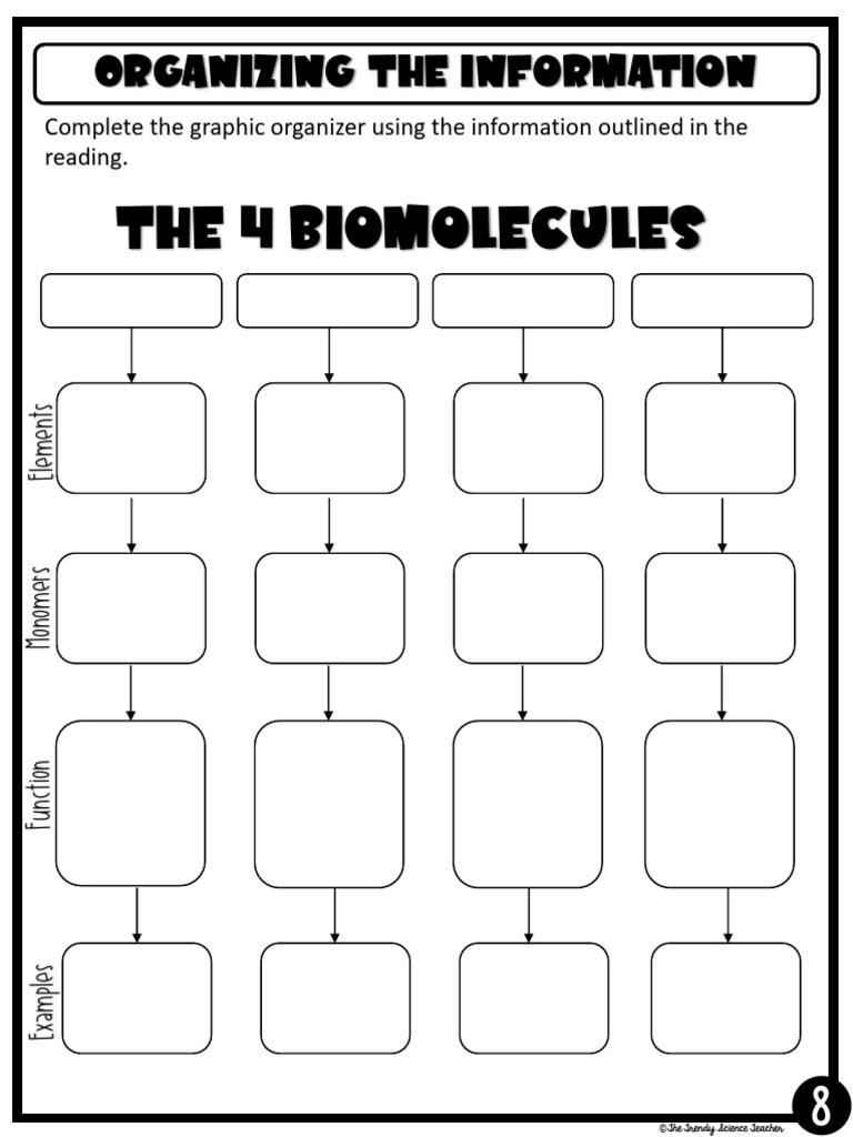 Biomolecules graphic organizer PDF