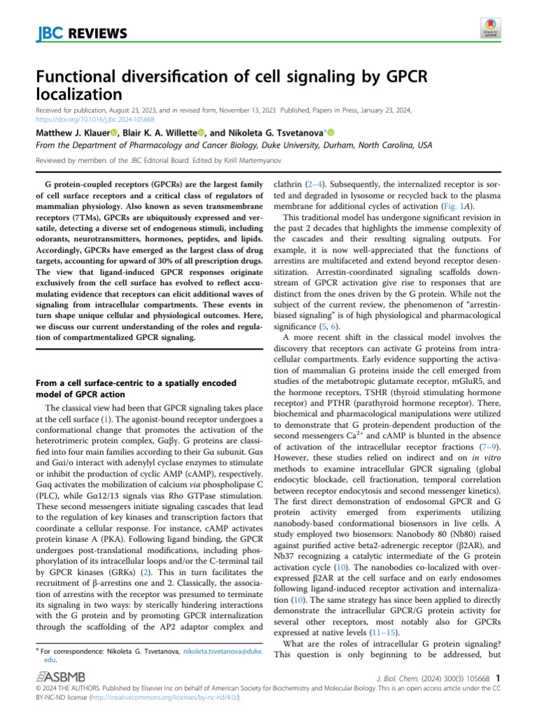 Intracellular GPCR Signaling Dynamics | PDF | Cell Signaling | Ligand ...