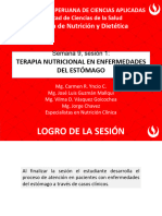 Terapia Nutricional en Enfermedades Del Estomago