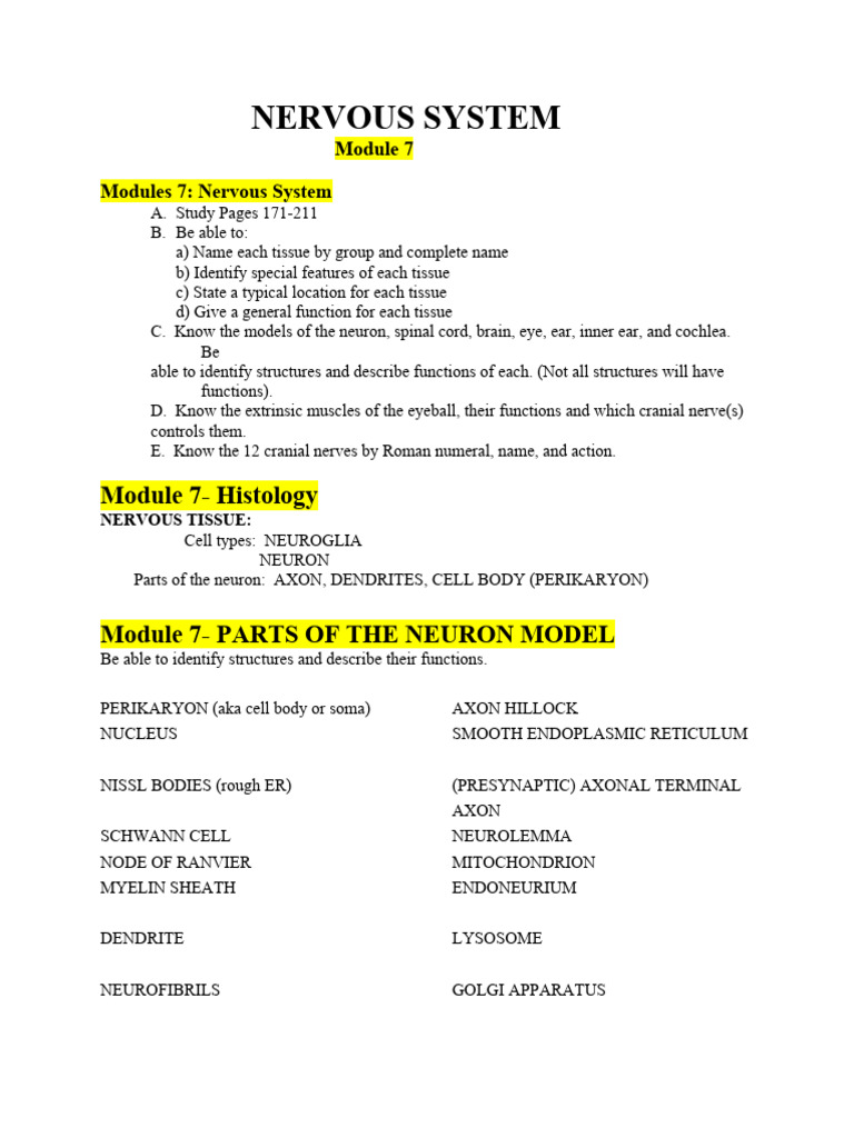 Bsc2085l module 7 study guide download free pdf brainstem ear