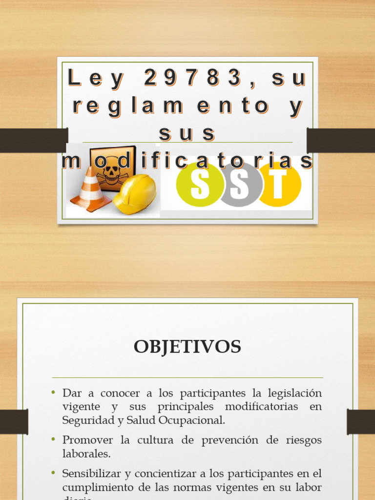 Ley 29783 Y Su Modificatoria Pdf Outsourcing