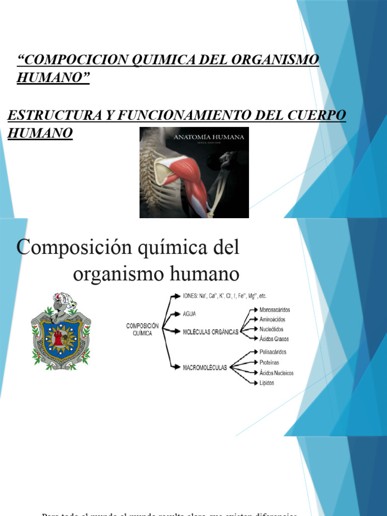 Composición Química del Cuerpo Humano | PDF | Humano | Cerebro