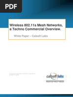 Wireless 802.11s Mesh Networks, A Techno Commercial Overview