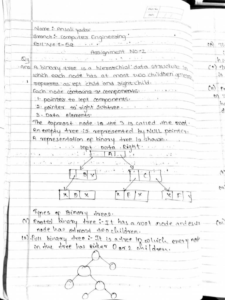 Binary Tree Data Structures Overview | PDF | Teaching Methods ...