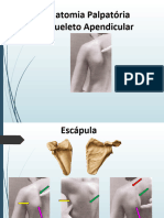 Minicurso de Anatomia Palpatoria